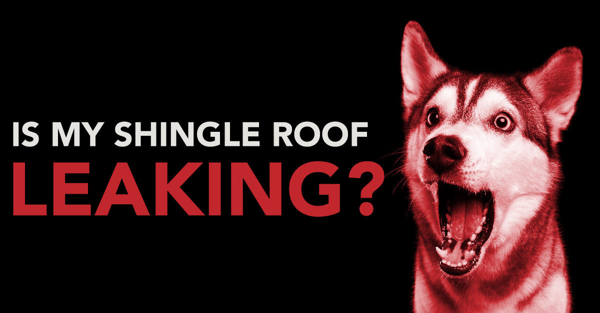 Is my shingle roof leaking?