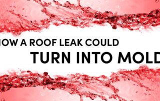 How A Roof Leak Could Turn Into Mold