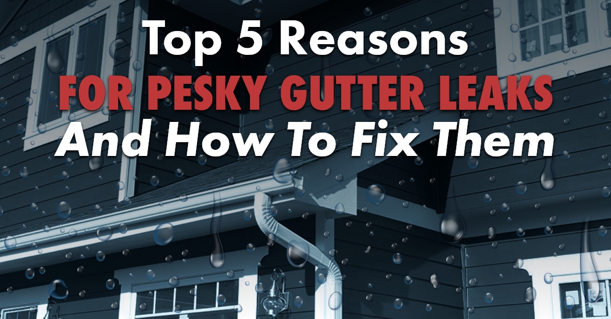 Decorative Graphic with caption Top 5 reasons for pesky gutter leaks and how to fix them